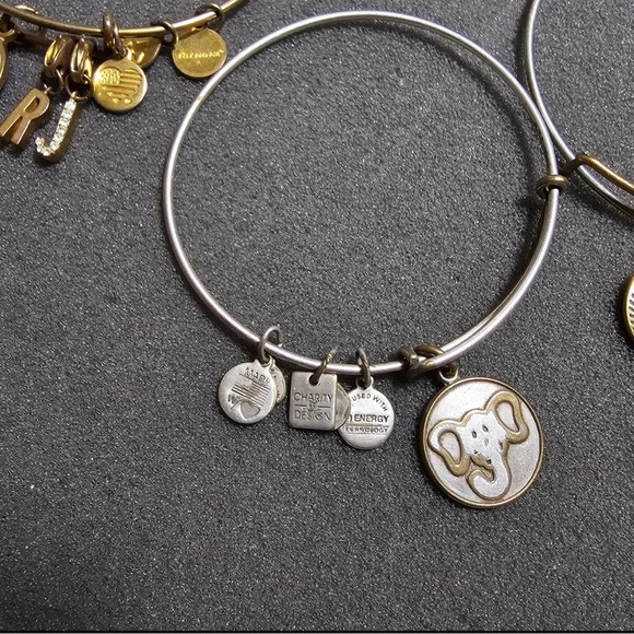 Lot Of 3 Alex And Ani Fashion Bangle Charm Dangle Bracelets - Picture 3 of 5